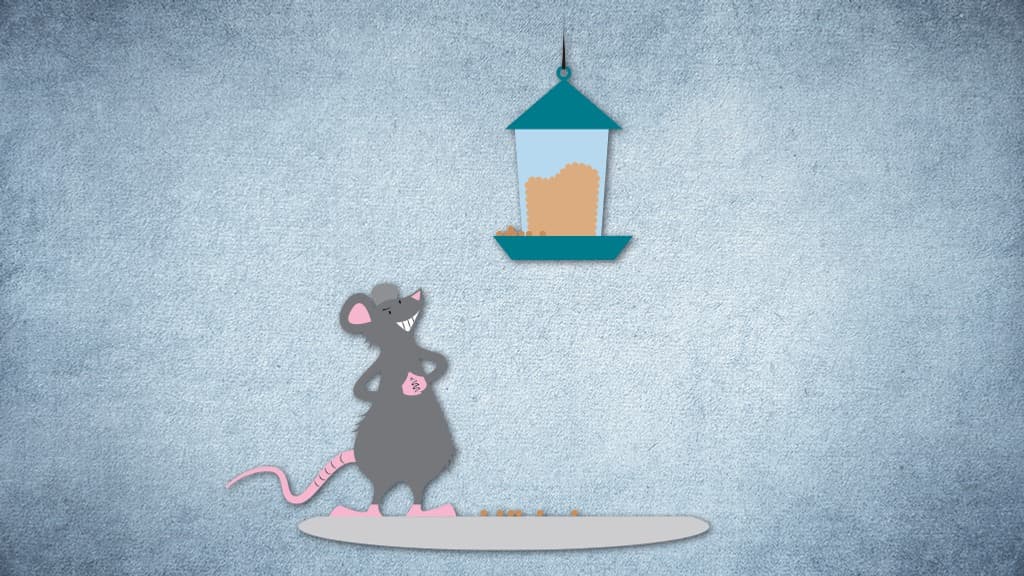 n illustration av en råtta med ett lömskt leende som väntar på att fågel,at ska ramla ner från en fågelmatare