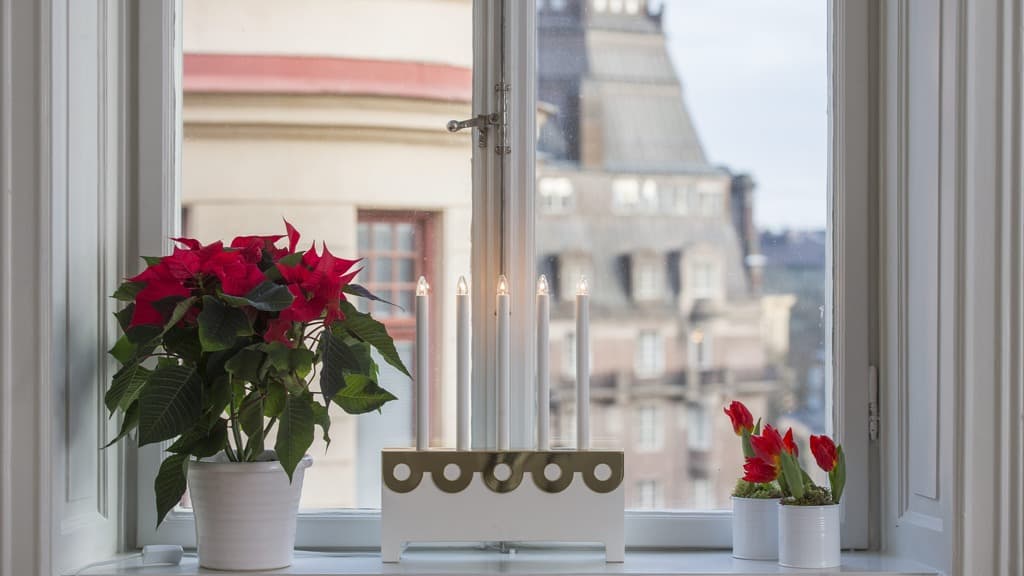 En röd julstjärna och röda tulpaner i vita krukor tillsammans med en elektrisk ljusstake i ett fönster med utsikt över andra hus.