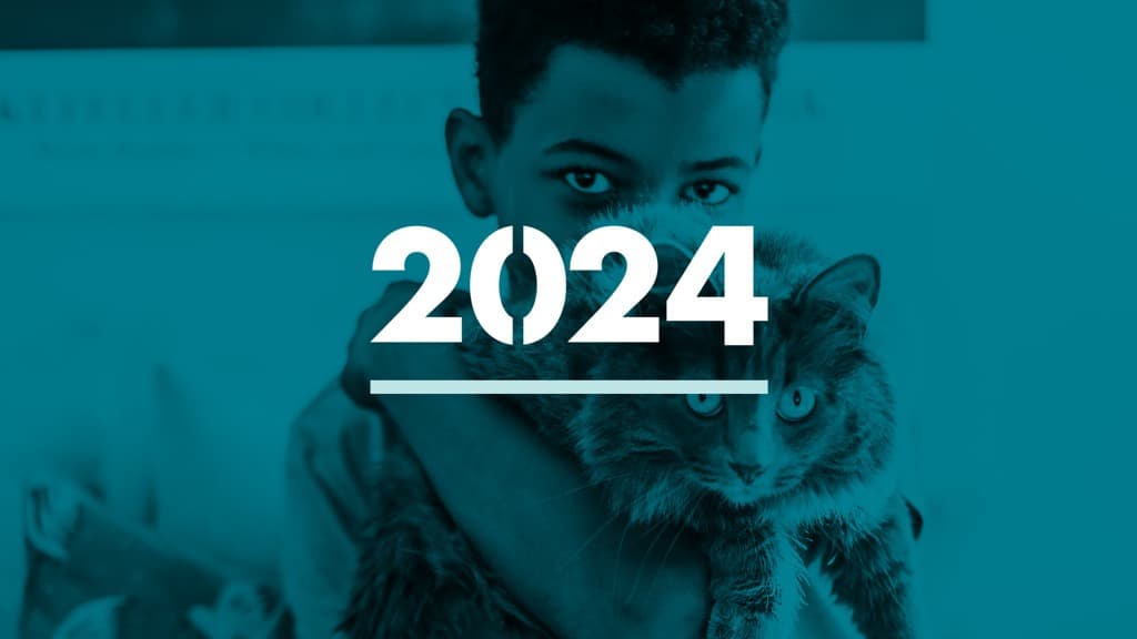 Pojke med katt i famnen. Text: 2024