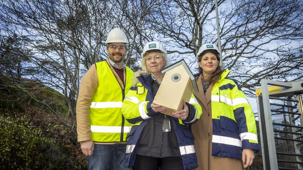 David Sundström, Chris Österlund coh Deniz Butros håller en fågelholk tillsammans