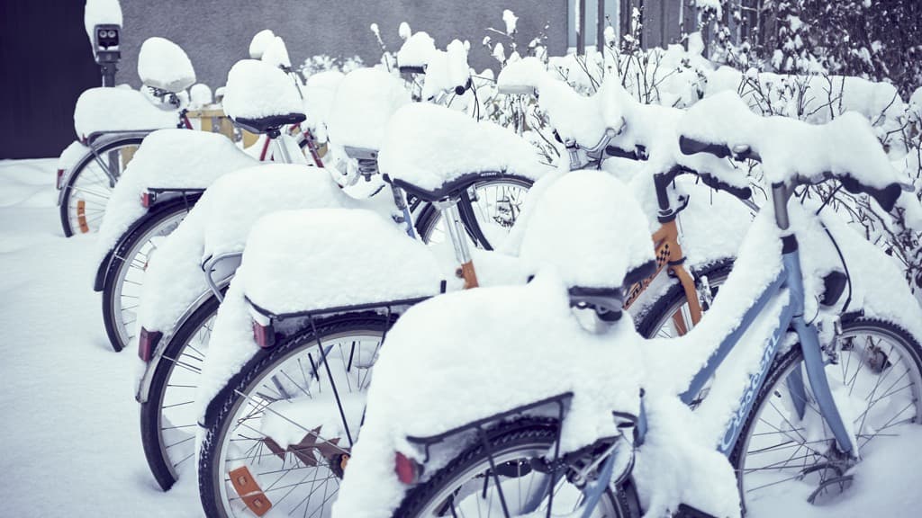 En rad snötäckta cyklar framför en byggnad