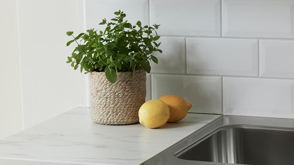 Citroner och en flätad kruka med en grön kryddväxt på en bänkskiva med vitt marmorutseende.