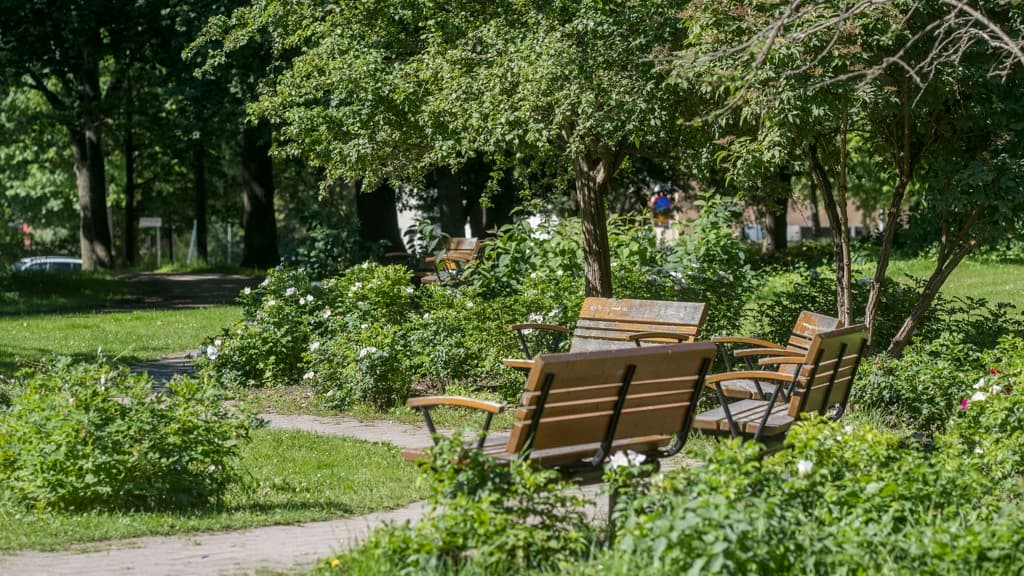 Grön park med sittbänkar av trä