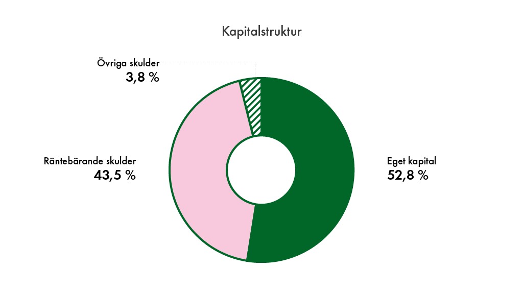 Ett diagram som visar bolagets kapitalstruktur.