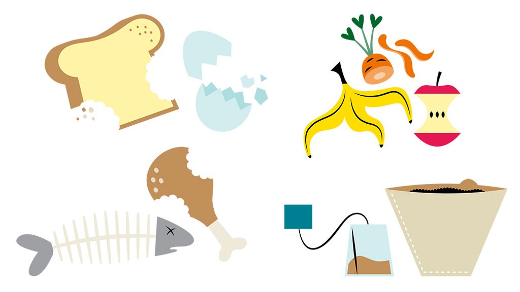 Illustration av äggskal, rester av brödskiva, kycklingklubba, fiskben, bananskal, morotsskal, äppelskrutt, tepåse och kaffesump.