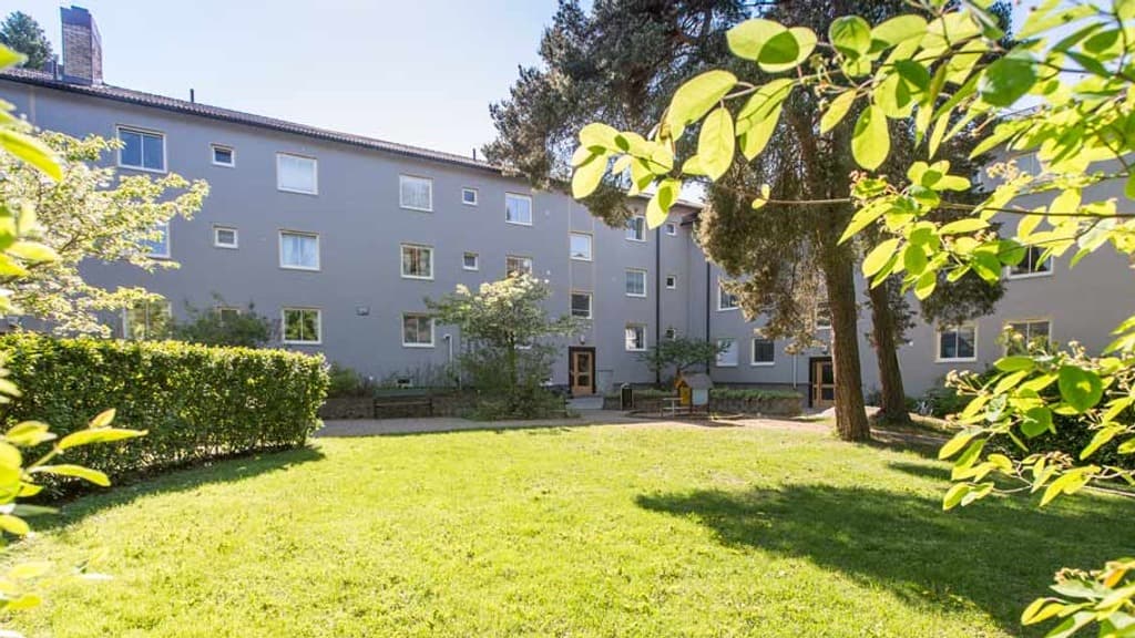 En solig grön innergård med gräsmatta, buskar, tallar och lövträd och ett grått trevåningshus i bakgrunden